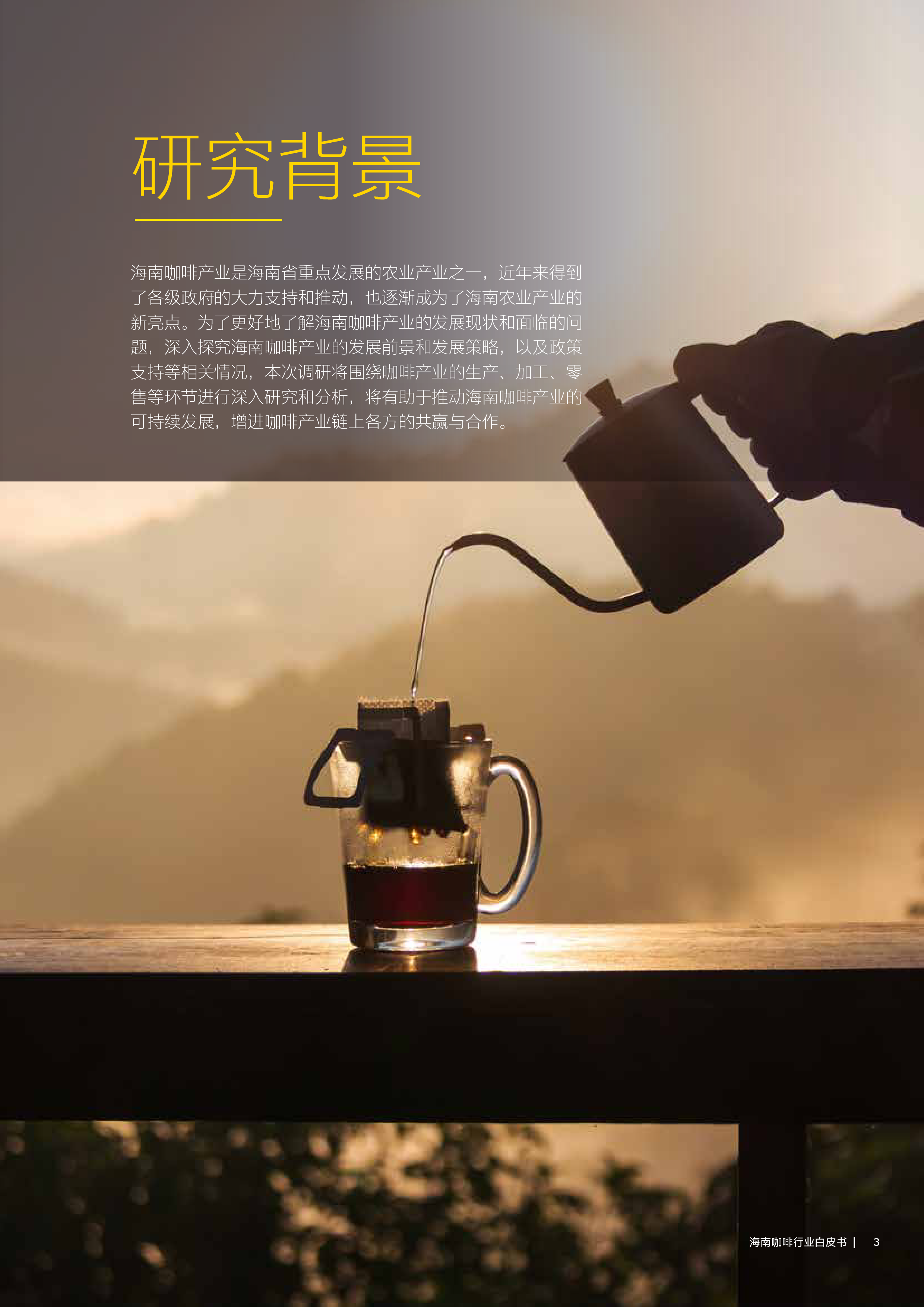 安永机遇2023-海南咖啡行业白皮书35页